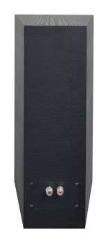 Técnica de áudio AQ Labrador 39 FORTE