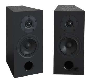 Técnica de áudio AQ Labrador 39 FORTE