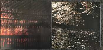 2LP Aquilus: Griseus