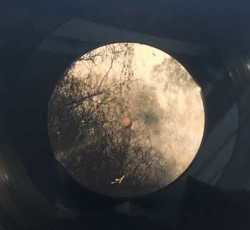 2LP Aquilus: Griseus