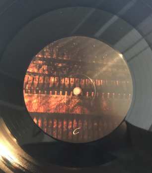 2LP Aquilus: Griseus