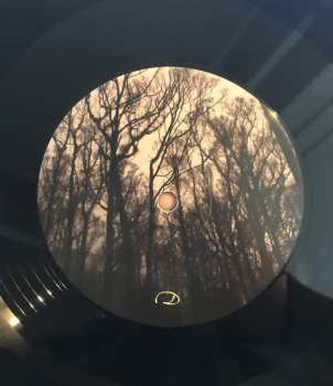 2LP Aquilus: Griseus