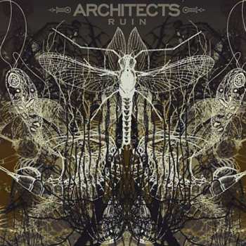 LP Architects: Ruin