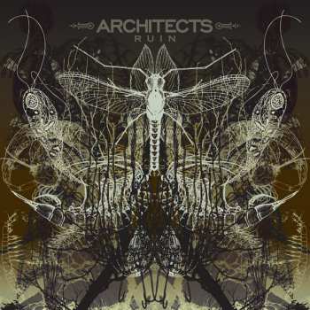 CD Architects: Ruin