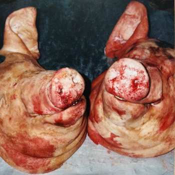 LP The Alchemist: Haram