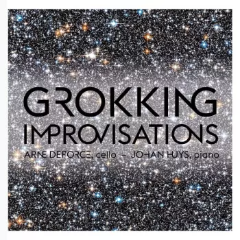 Johan Huys: Grokking Improvisations