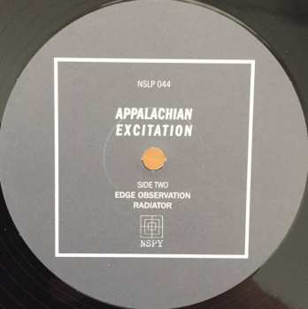 LP Arnold Dreyblatt: Appalachian Excitation