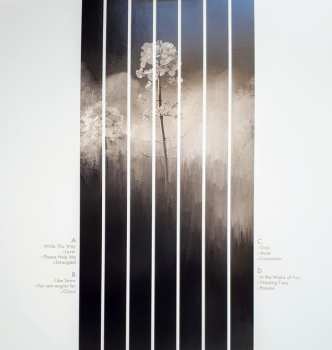 2LP Árstíðir: Nivalis LTD | CLR