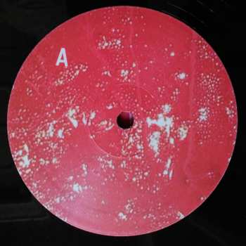LP Arto Lindsay: Cuidado Madame