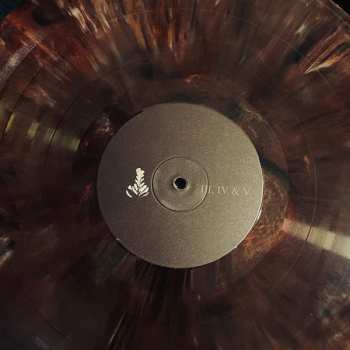 LP Athletics: Who You Are Is Not Enough