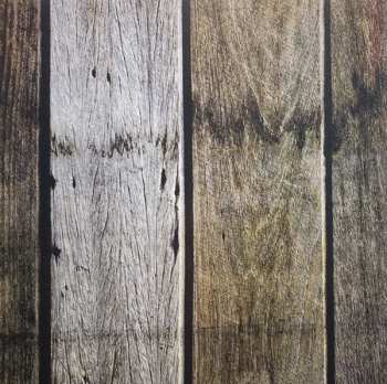 CD Austin Lucas: Between The Moon & The Midwest