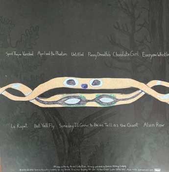 2LP Panda Bear: Spirit They're Gone Spirit They've Vanished CLR