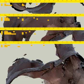 Album Awe Kid: Body Logic 