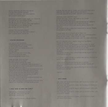 CD Babylon Zoo: King Kong Groover