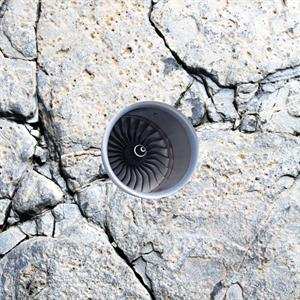 LP Babyxxan: In-Tran-Situ