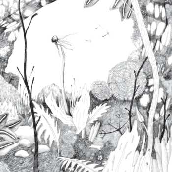 Album Back And Forth: Time Whispers