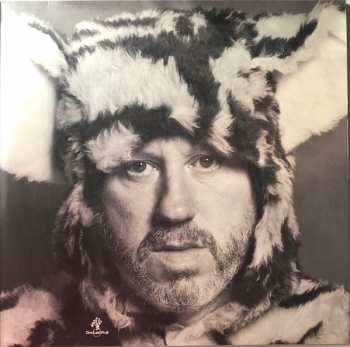 2LP Badly Drawn Boy: Banana Skin Shoes