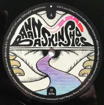 2LP Badly Drawn Boy: Banana Skin Shoes