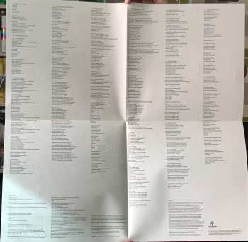 2LP Badly Drawn Boy: Banana Skin Shoes