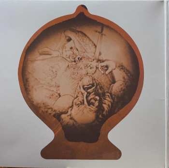 LP Banco Del Mutuo Soccorso: Banco Del Mutuo Soccorso LTD | CLR