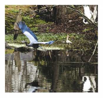 CD Band Of Horses: Cease To Begin