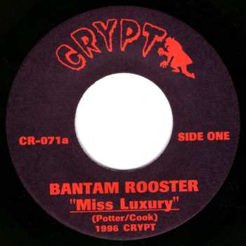 SP Bantam Rooster: Miss Luxury