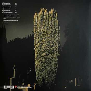 2LP Bass Communion: Ghosts On Magnetic Tape LTD | NUM | CLR