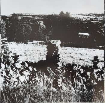 LP Battle Ruins: Battle Ruins LTD | PIC | CLR