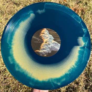 LP Bearings: Blue In the Dark LTD | CLR