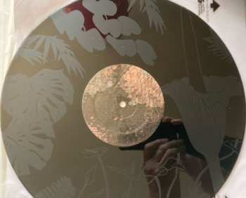 2LP Becca Stevens: Wonderbloom