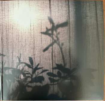 2LP Beirut: A Study Of Losses CLR