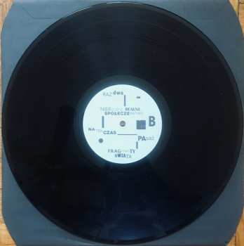 LP Belgrado: Obraz