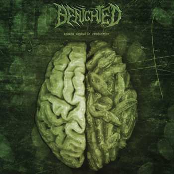 LP Benighted: Insane Cephalic Production CLR | LTD