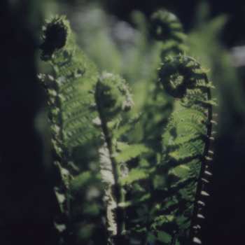 LP Benoit Pioulard: Eidetic