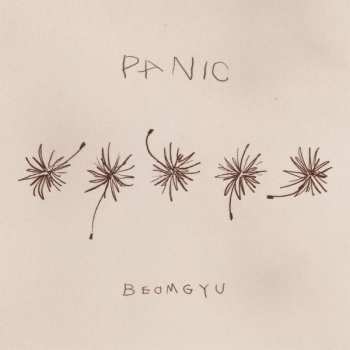 CD Beomgyu: Panic