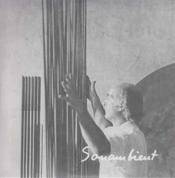 11CD/Caja Harry Bertoia: Sonambient (Complete Collection) DLX