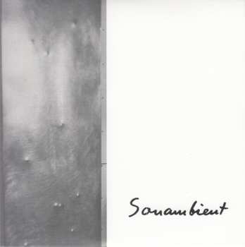 11CD/Caja Harry Bertoia: Sonambient (Complete Collection) DLX