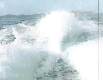 CD Beth Orton: Daybreaker