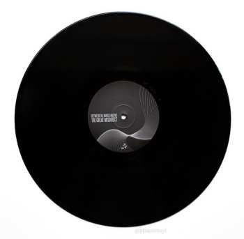 2LP Between The Buried And Me: The Great Misdirect