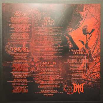 2LP/2CD/Caja Beyond The Black: Beyond The Black LTD | NUM | CLR