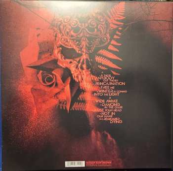 2LP/2CD/Caja Beyond The Black: Beyond The Black LTD | NUM | CLR