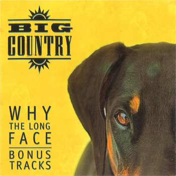 4CD/Caja Big Country: Why The Long Face DLX