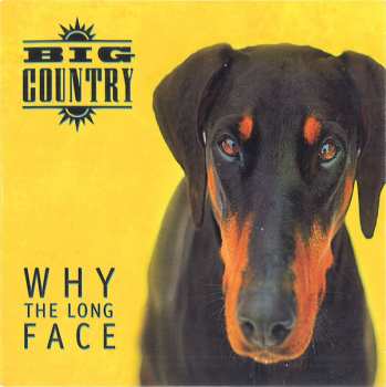4CD/Caja Big Country: Why The Long Face DLX