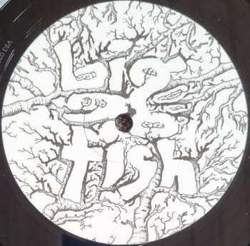 LP/CD Big Fish: Kalla Döda Drömmar LTD