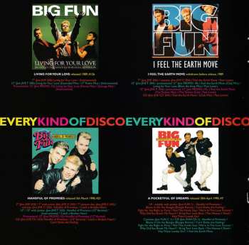 CD Big Fun: A Pocketful Of Dreams