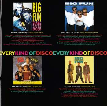 CD Big Fun: A Pocketful Of Dreams