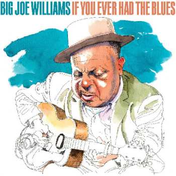 Album Big Joe Williams: If You Ever Had The Blues