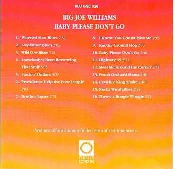 CD Big Joe Williams: Baby Please Don't Go