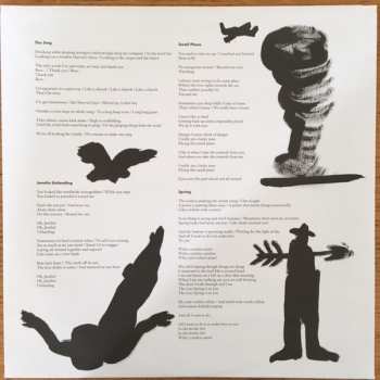 LP Bill Callahan: Dream River