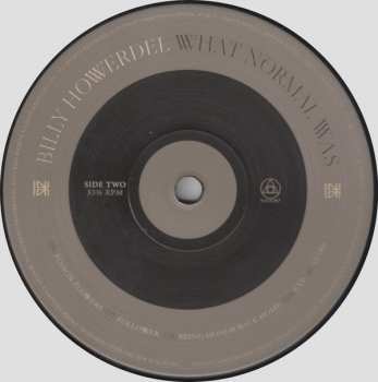 LP Billy Howerdel: What Normal Was